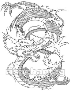 dragon tattoo pictures design for girl