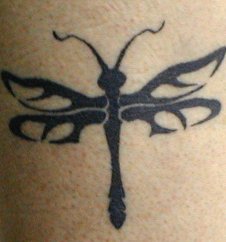dragonfly tattoo tribal style design