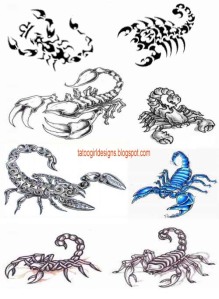scorpio tattoo pictures designs