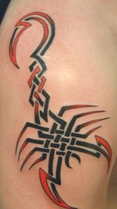 new idea of tribal scorpio tattoo style